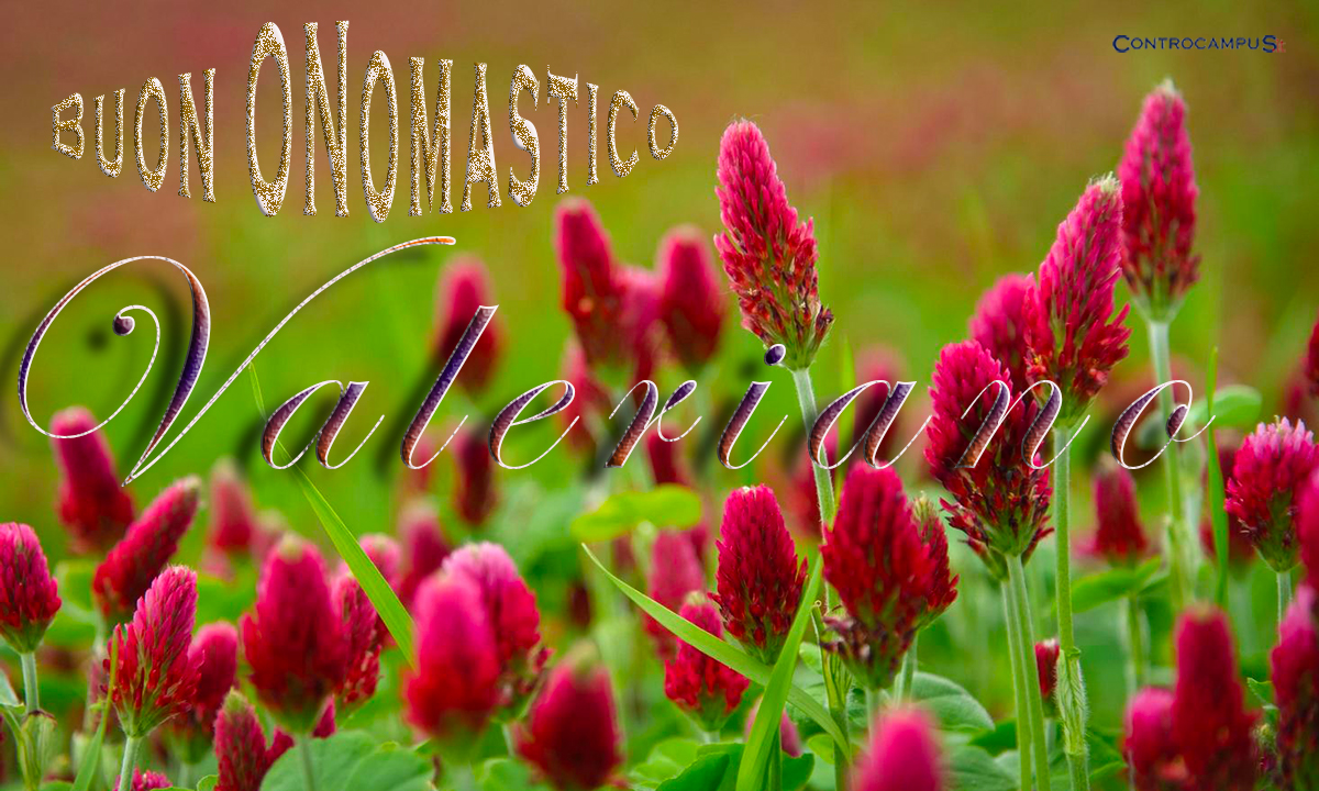 Immagini auguri buon onomastico per San Valeriano