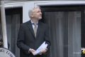 Foto per capire chi è Julian Assange