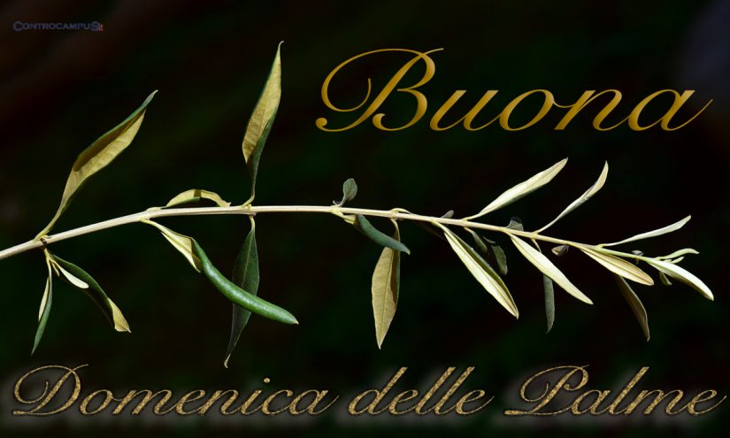 Immagini Buona Domenica delle Palme 2022