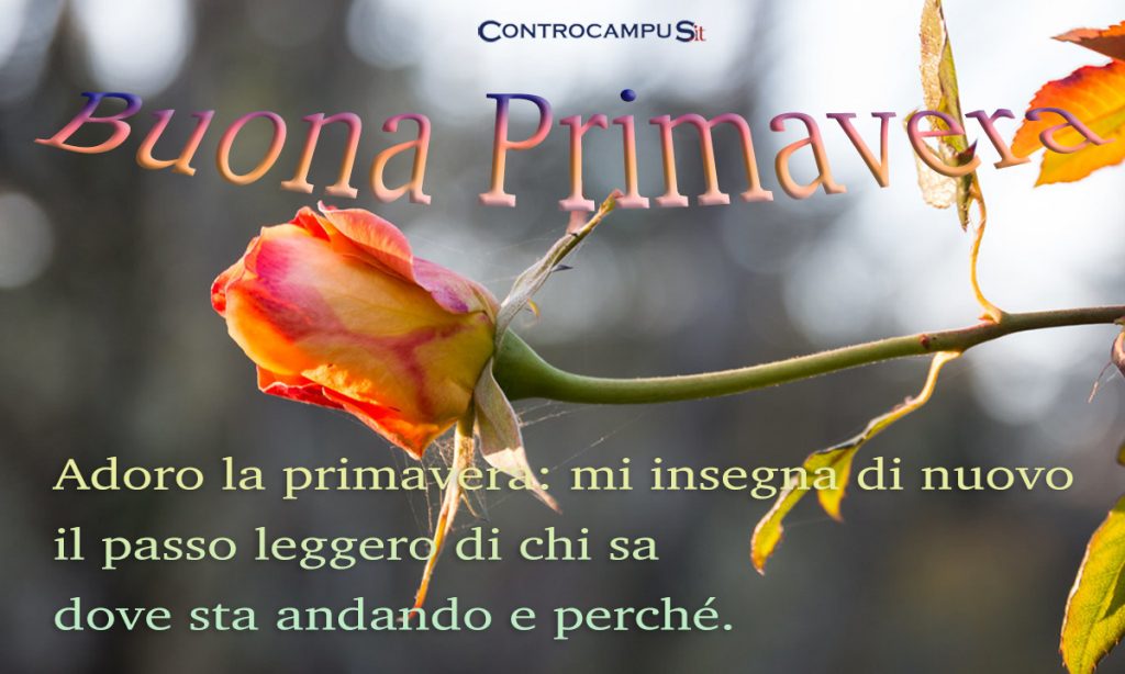 buon venerdì  buon venerdì amici  buon venerdì foto  buon venerdì immagini  buon venerdì frasi  buon venerdì a tutti  buongiorno venerdì  immagini buon venerdì  immagini di buon venerdì  buon venerdì amici  immagini buon venerdi sera  Buongiorno contro la guerra   immagini buongiorno immagini buongiorno divertenti	 immagini buongiorno amore	 immagini buongiorno gratis	 immagini buongiorno animate	 immagini buongiorno da scaricare gratis immagini buongiorno amici	 immagini buongiorno le ali del sorriso	 immagini buongiorno sabato	 immagini buongiorno amore mio immagini buongiorno marzo immagini buongiorno venerdì immagini buongiorno frizzante	 immagini buongiorno gratis per whatsapp	 immagini buongiorno 2022 immagini buongiorno glitter	 immagini buongiorno bellissime	 immagini buongiorno per whatsapp	 immagini buongiorno glitterate	 immagini buongiorno freddo immagini buongiorno freddoloso	 immagini buongiorno venerdì immagini buongiorno le fate del sole	 immagini buongiorno pinterest immagini buongiorno facebook	  immagini buongiorno whatsapp	 immagini buongiorno buona giornata immagini buongiorno e buona settimana   immagini buongiorno venerdì  buon venerdì foto  felice venerdì  buon venerdì  immagini buon venerdì  venerdì frasi  immagini del buon venerdì  link buon venerdì foto  buon venerdì  foto di buon venerdì  link di buon venerdì  frasi di buon venerdì  buon venerdì immagini gif  buon venerdì immagini simpatiche  buon venerdì glitter gif  auguri di buon venerdì   buon venerdì  a tutti  cartoline spiritose di buon venerdì   immagini felice   immagini buon venerdì gratis  immagini buon venerdì whatsapp	  immagini buon venerdì a scaricare  immagini buon venerdì animate	  immagini buon venerdì glitter	  immagini buon venerdì amici
