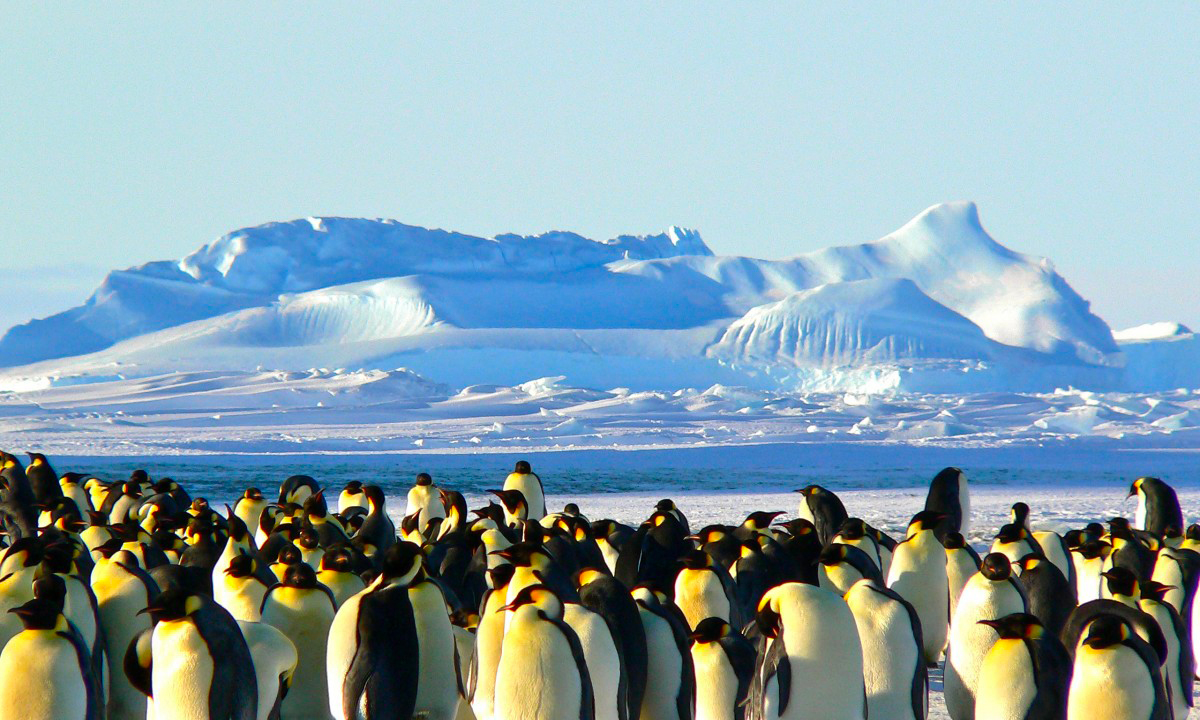 Ghiacciai antartici