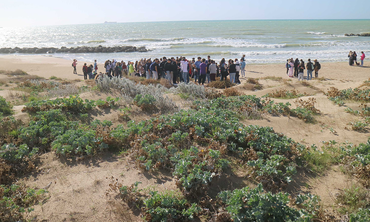 Dune e flora