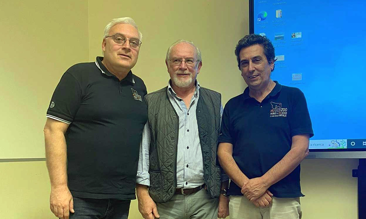 Seminario su mammiferi siciliani scomparsi o rarefatti all'Università di Catania