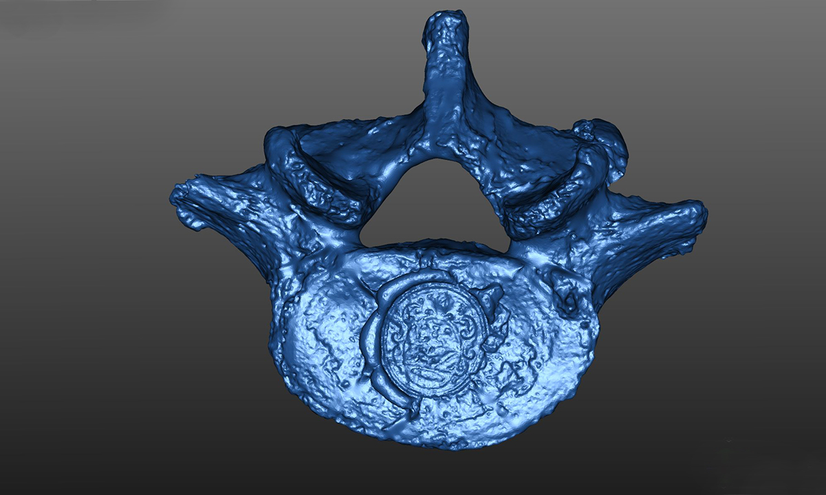 Vertebra di Galileo Galilei ricostruita