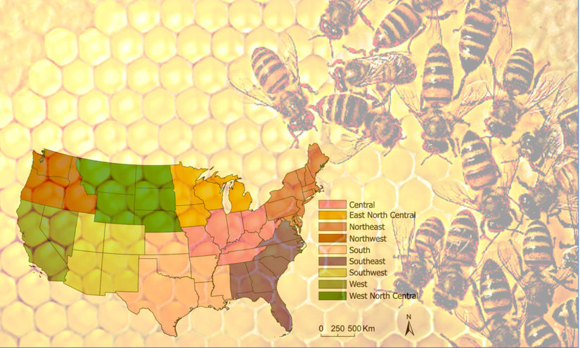 Morte delle api 