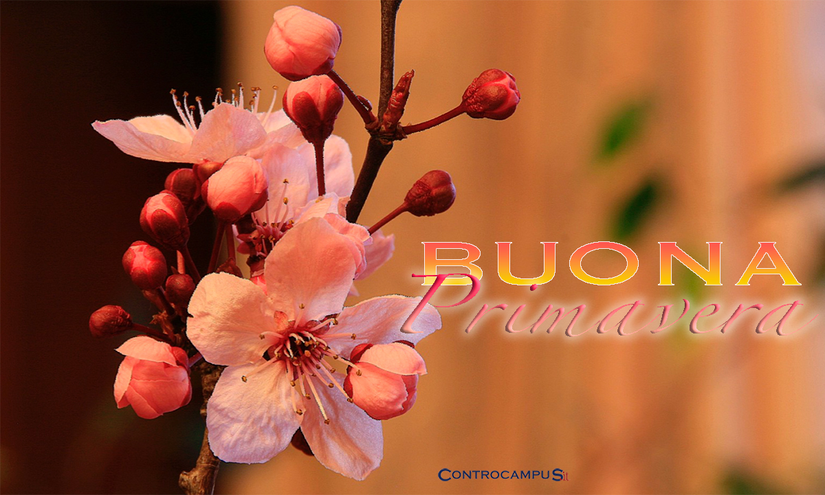 Immagini di Buona primavera