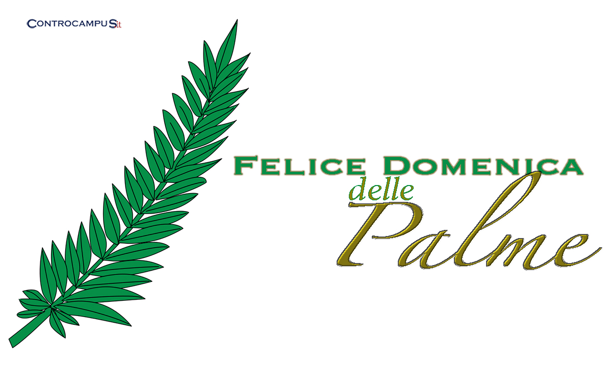 Immagini Buona Domenica delle Palme