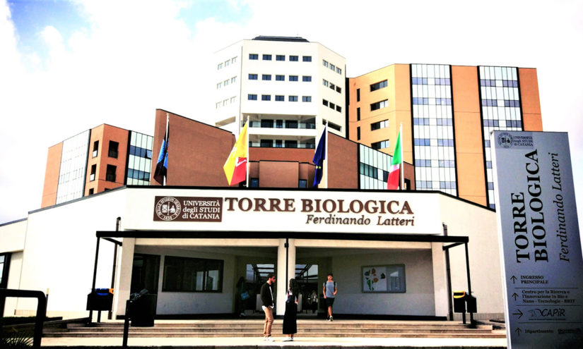 UniCT - Universita Catania