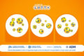 Estrazione del Lotto oggi 12 aprile 2025