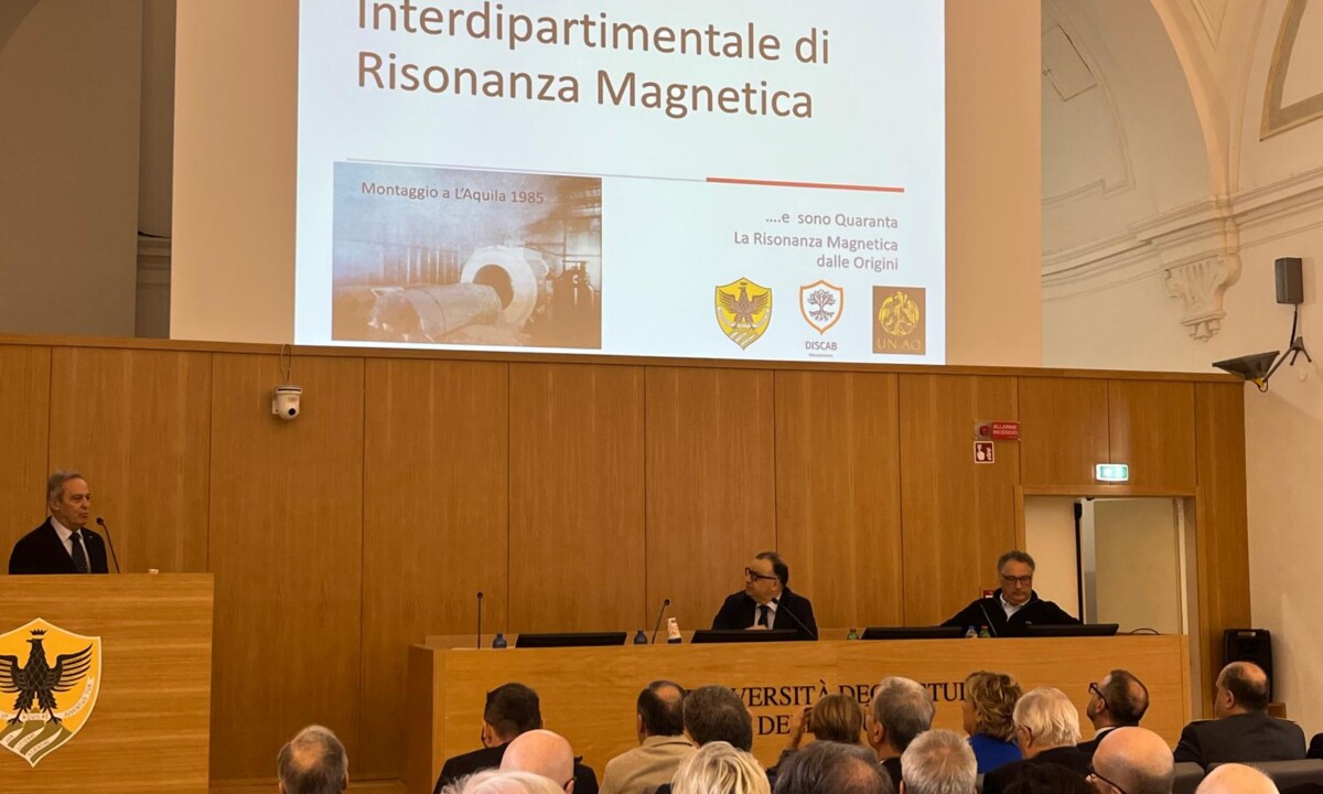 Università degli Studi dell'Aquila