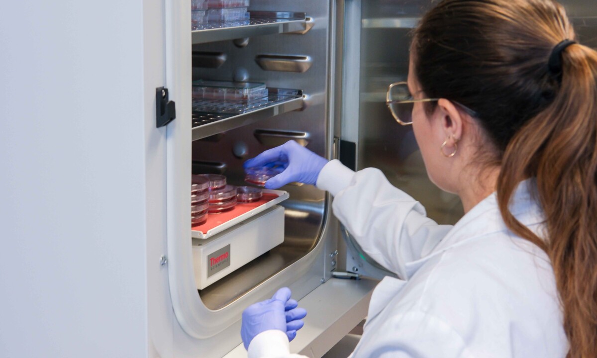 Ricerca tumore al pancreas