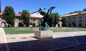 Univpm - Università Politecnica delle Marche