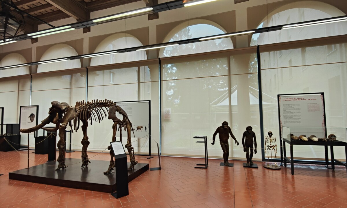 Archeologia e scienze ambientali all'Università di Ferrara