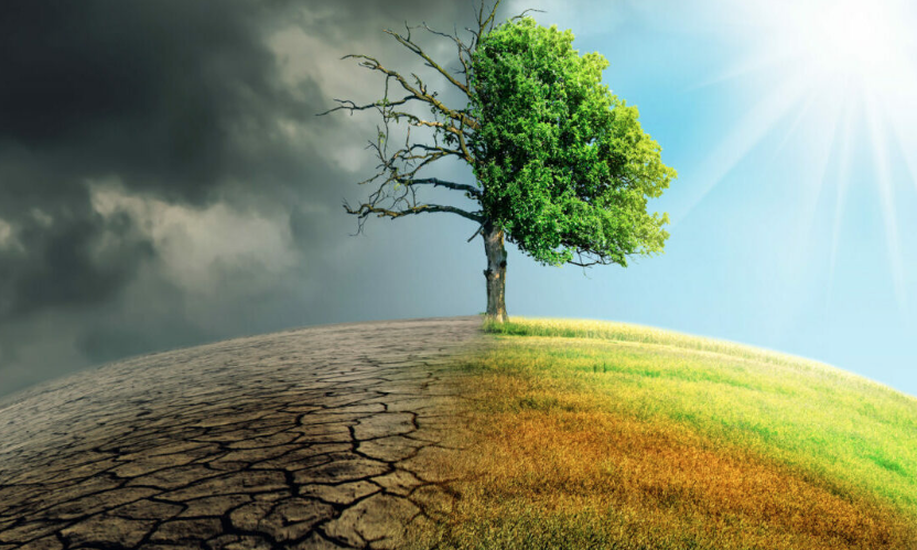 Politiche climatiche