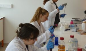 Ricerca UniUD