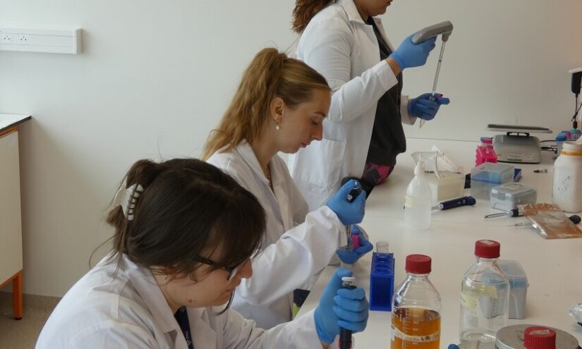 Ricerca UniUD