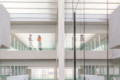 Università Bocconi