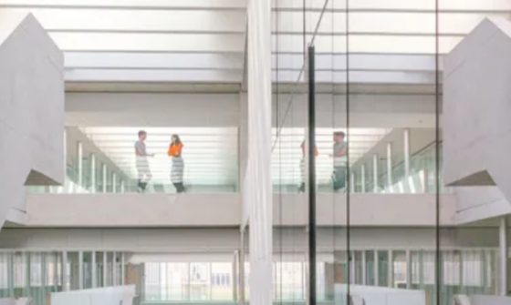 Università Bocconi