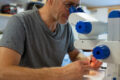 Ricerca UniSalento