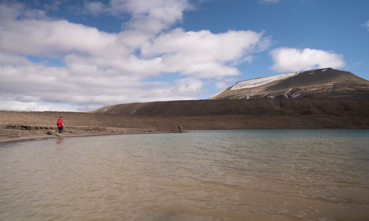 Ricerca Eco-Fisiologia e Cambiamento Climatico nell'Artico