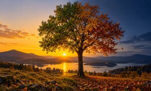 Equinozio d'Autunno