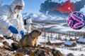Peste polmonare in Siberia